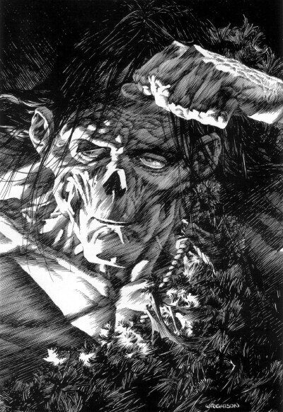 这是美国插画家 Bernie Wrightson(1948年10月27日—2017年03月19日)的作品，Bernie Wrightson1948年出生于美国马里兰州(巴尔的摩市), 他以惊悚的插画、漫画而闻名世界。复杂硬朗细腻的排线，层次分明的黑白画面是他…