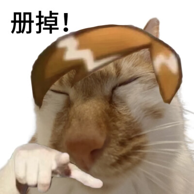 橘猫表情包