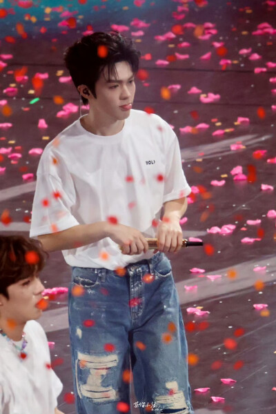 cr.蒸馏小绿koko