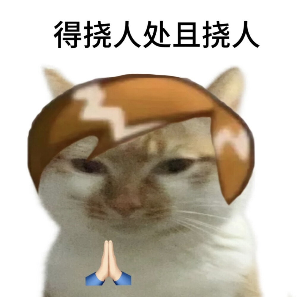 橘猫表情包