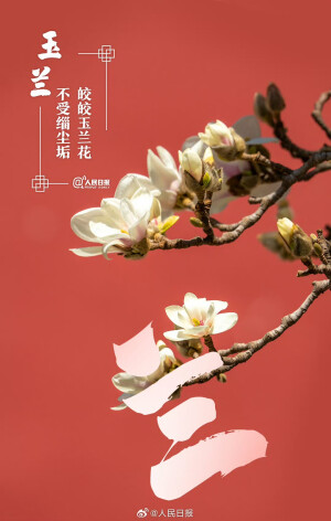 文字与花