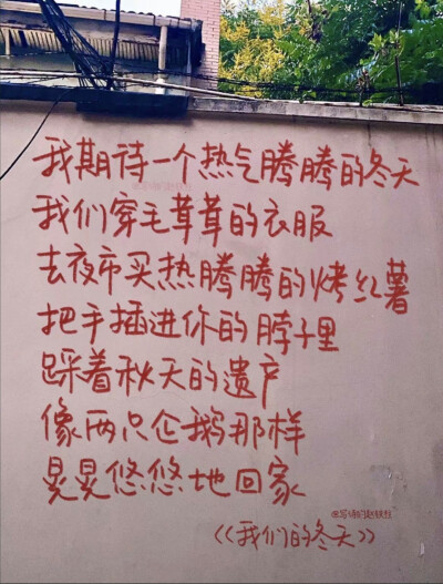 日日好日