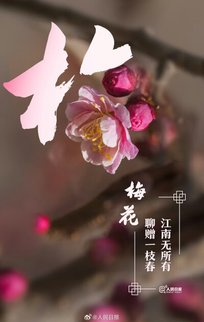 文字与花