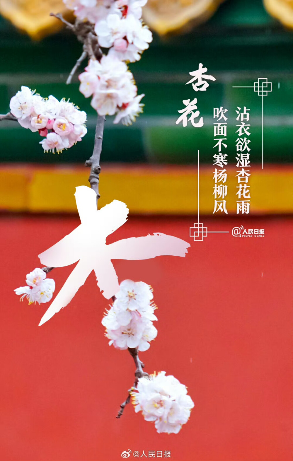 文字与花