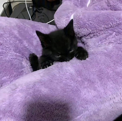 oi
