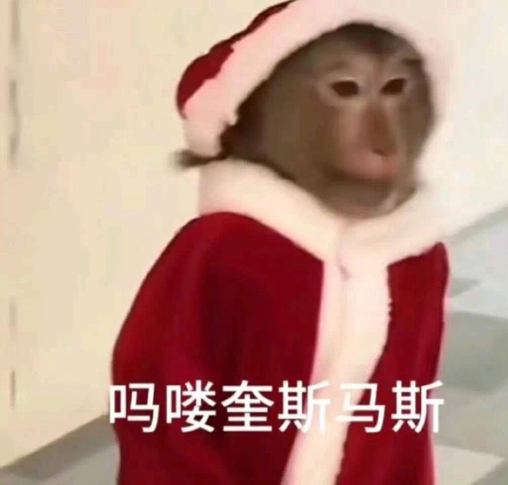 沙雕動物表情包