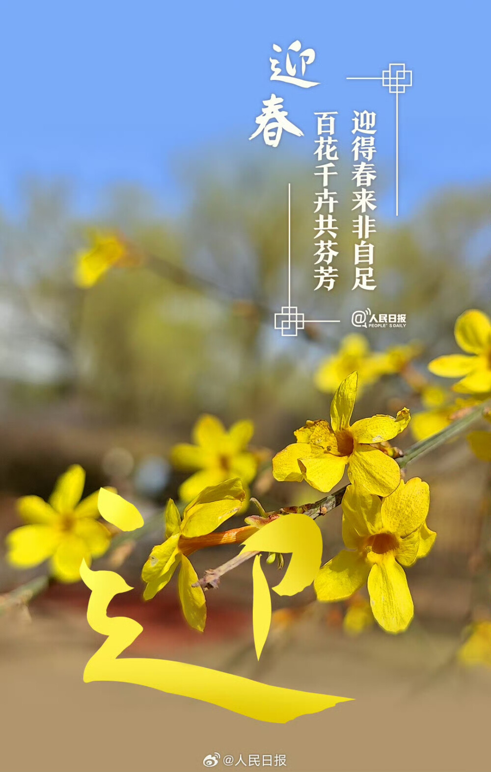 文字與花