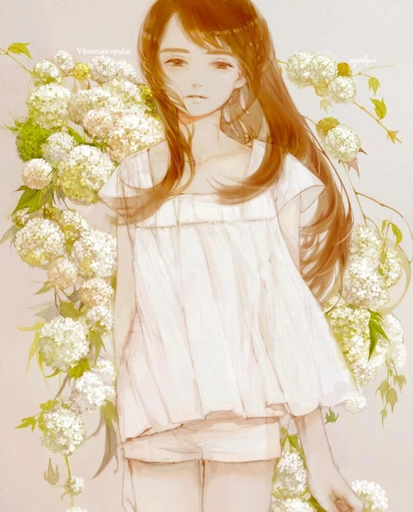 韩国插画师 선주
