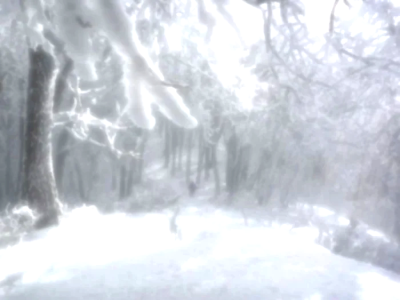 初雪
张泽禹