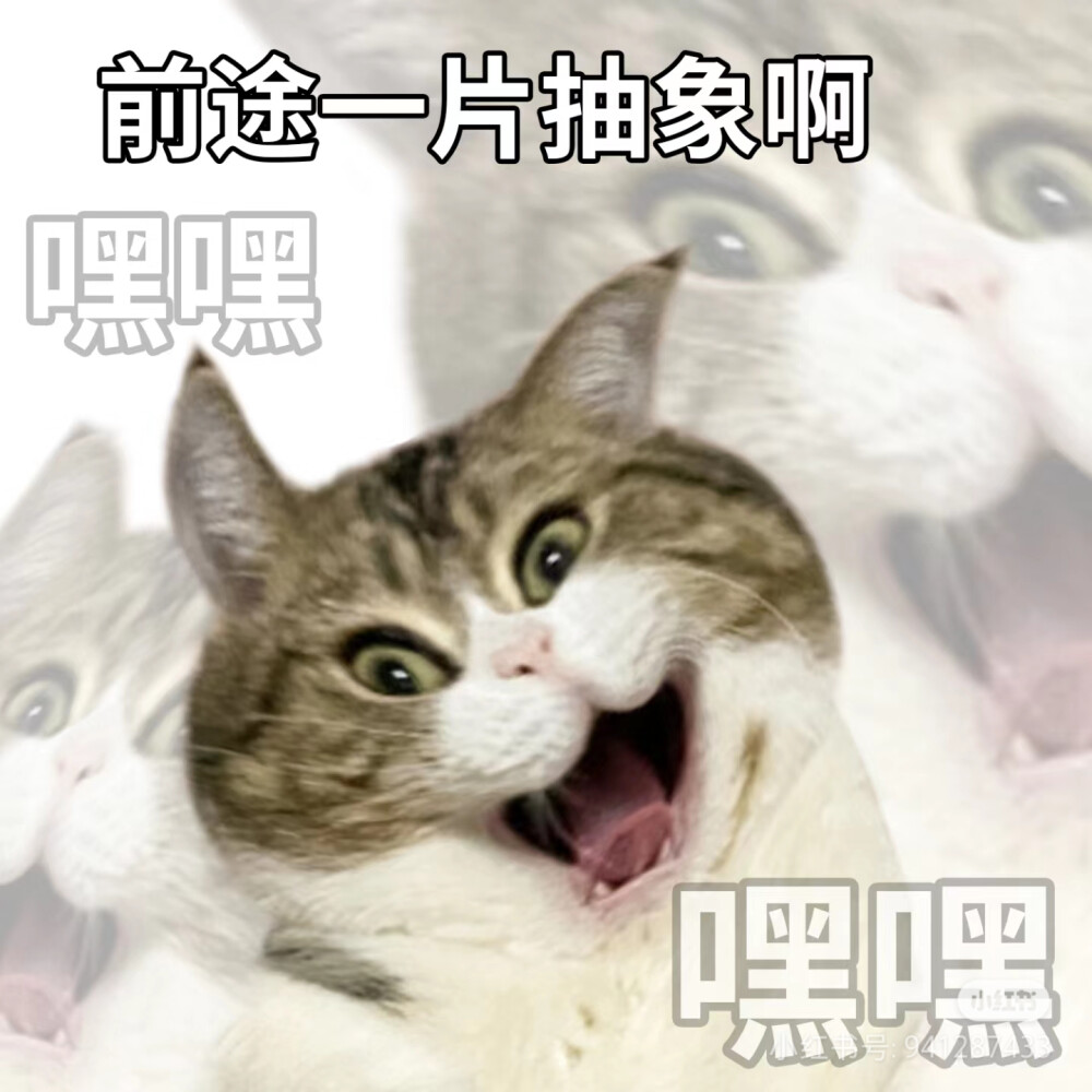 猫猫表情包