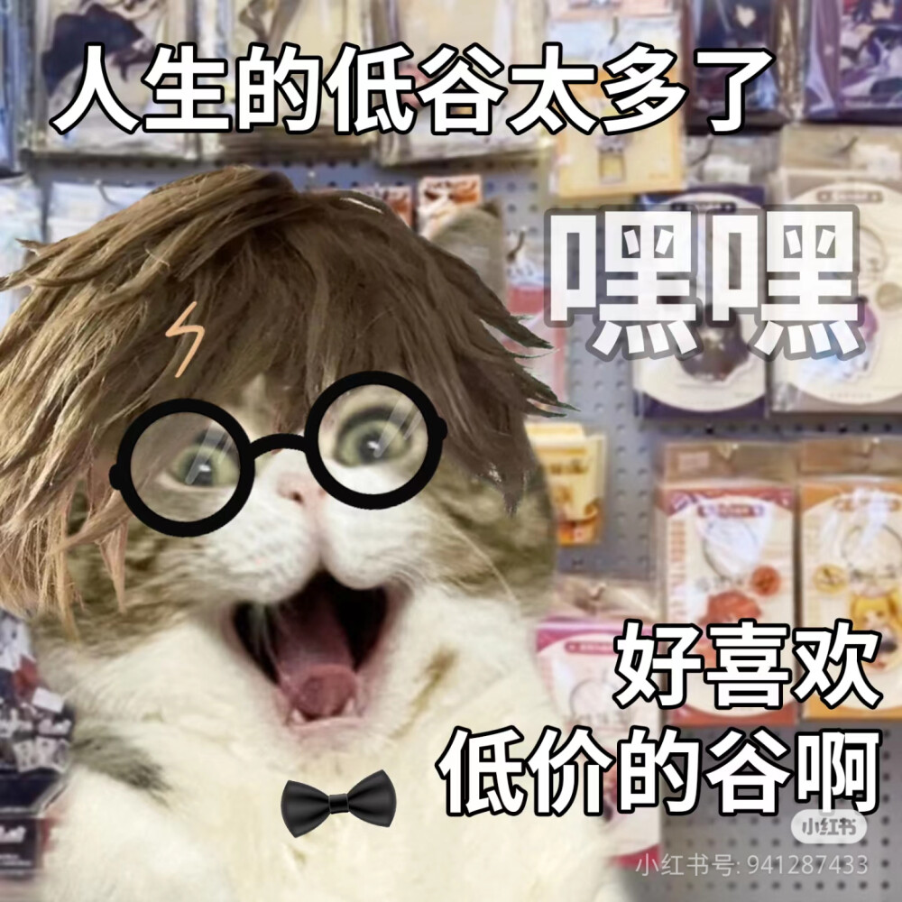 猫猫表情包