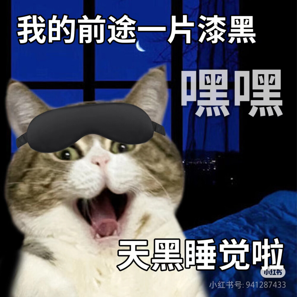 猫猫表情包