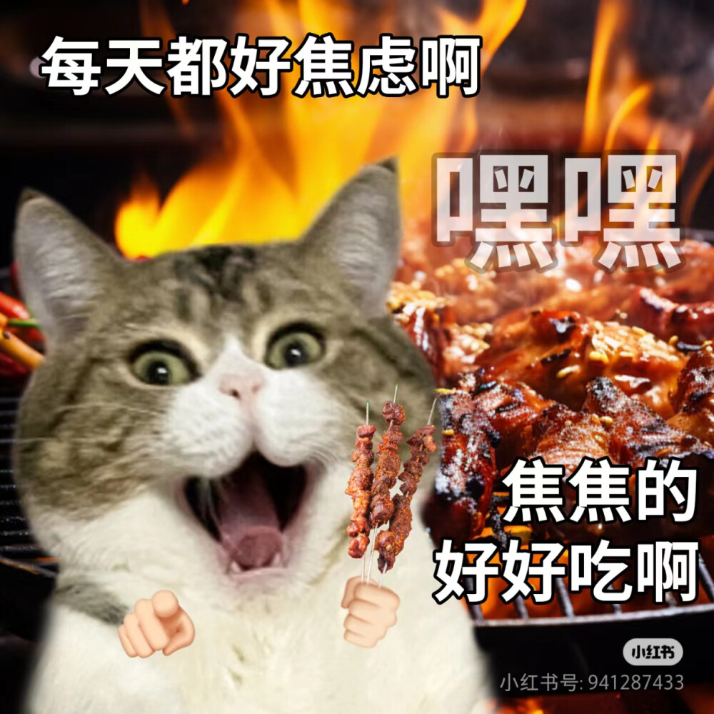 猫猫表情包