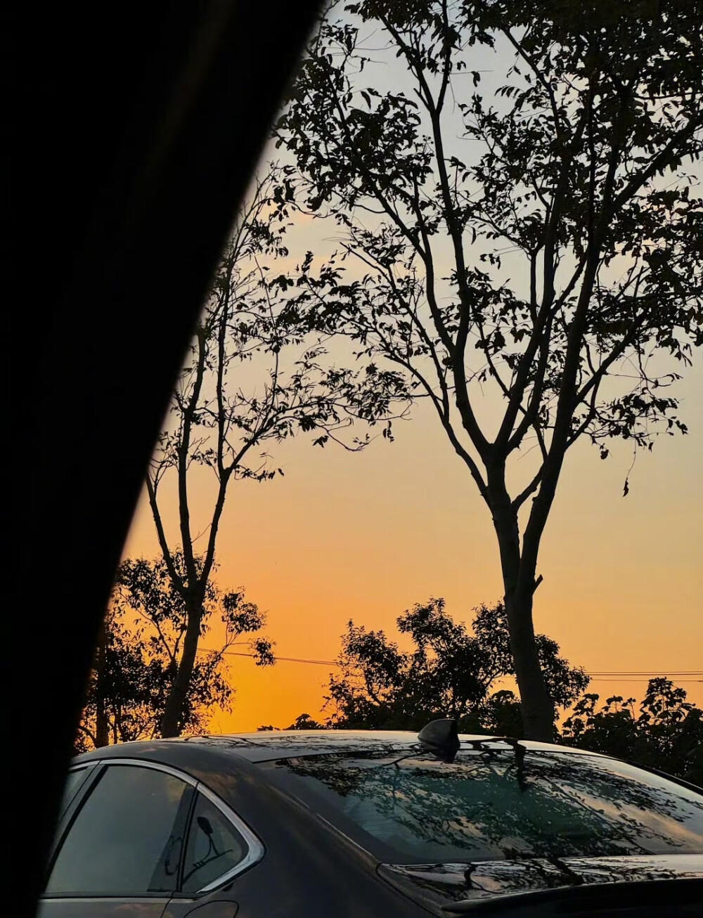 车