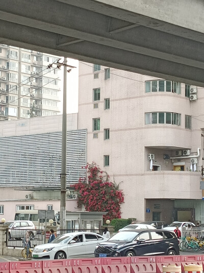远处花团
