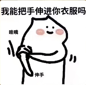 表情包