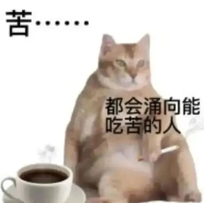 猫猫表情包