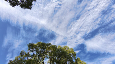 吉安看天空：云彩欣赏（2024年11月29日摄于安福）