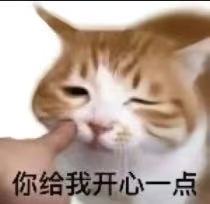 猫猫表情包