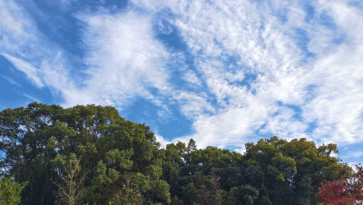 吉安看天空：云彩欣赏（2024年11月29日摄于安福）