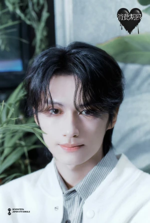 seventeen 文俊辉Jun - 高清图片，堆糖，美图壁纸兴趣社区