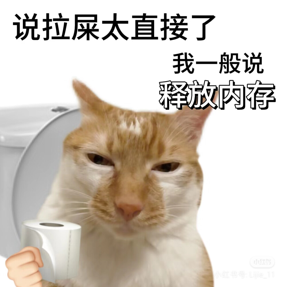 猫猫表情包