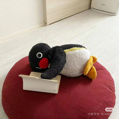 pingu