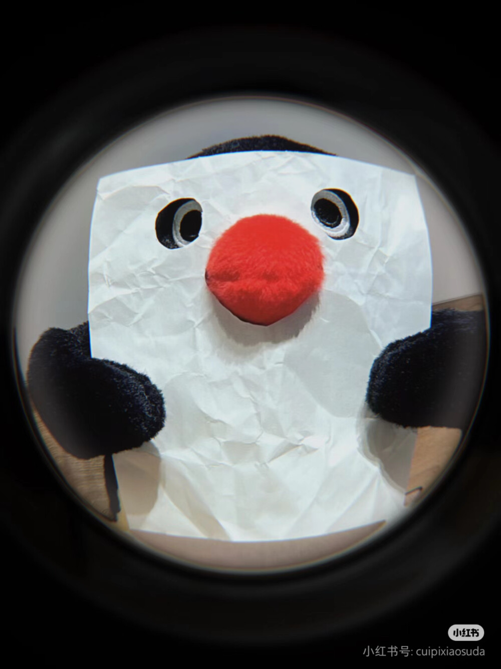 pingu
