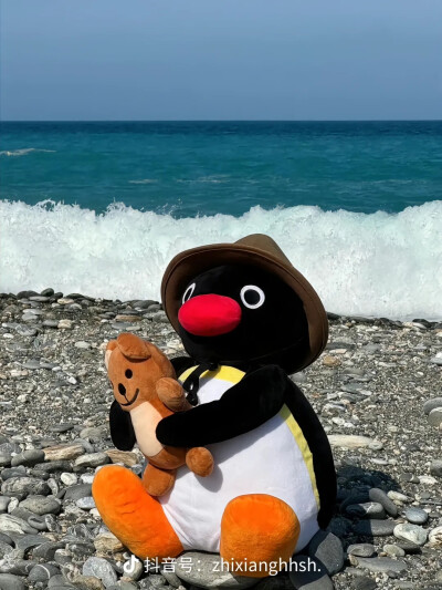 pingu