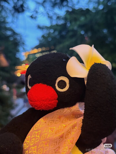 pingu