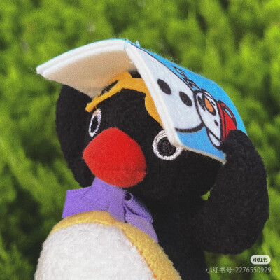 pingu