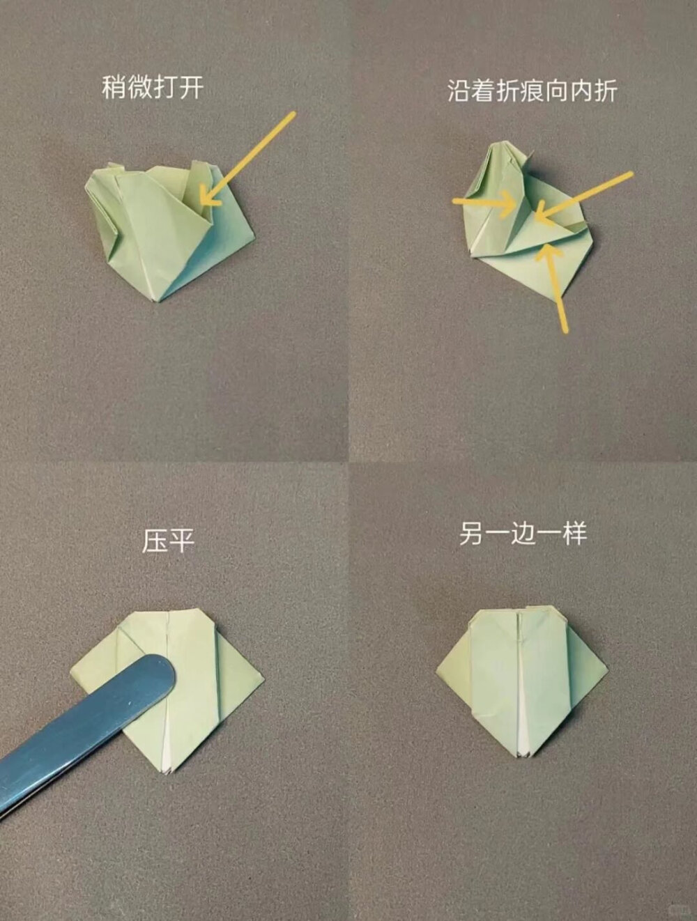 山茶哦