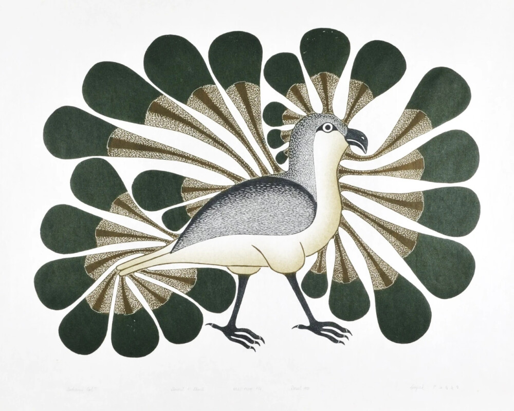 科努瓦克·阿什瓦克（Kenojuak Ashevak）是著名的加拿大因纽特艺术家，她创作了一些加拿大艺术中最具标志性和辨识度的图像。在从事雕塑工作时，阿什瓦克以其引人入胜的图形作品而闻名，包括素描和版画。这些作品涵盖了富有想象力和多样化的主题，其中最大的主题包括鸟类，尤其是活泼的猫头鹰。