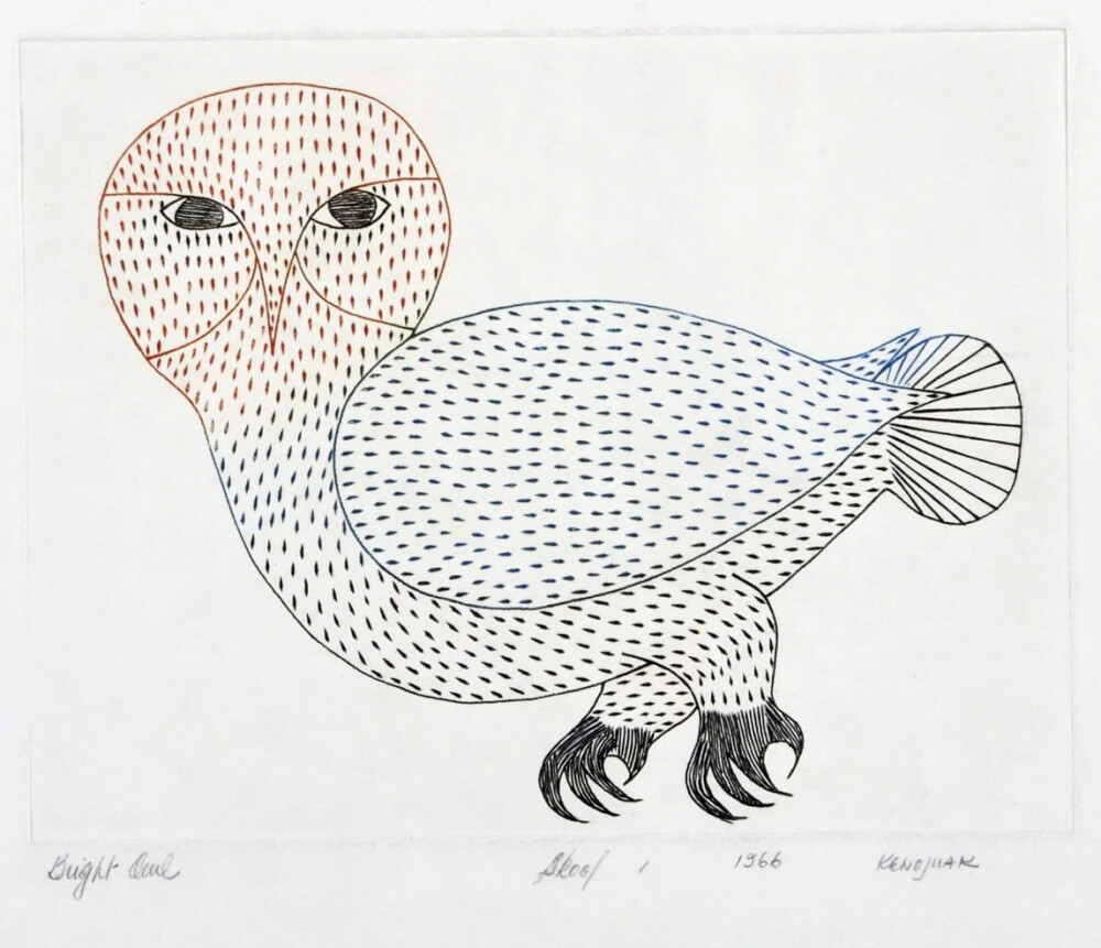 科努瓦克·阿什瓦克（Kenojuak Ashevak）是著名的加拿大因纽特艺术家，她创作了一些加拿大艺术中最具标志性和辨识度的图像。在从事雕塑工作时，阿什瓦克以其引人入胜的图形作品而闻名，包括素描和版画。这些作品涵盖了富有想象力和多样化的主题，其中最大的主题包括鸟类，尤其是活泼的猫头鹰。