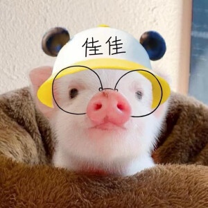 女头