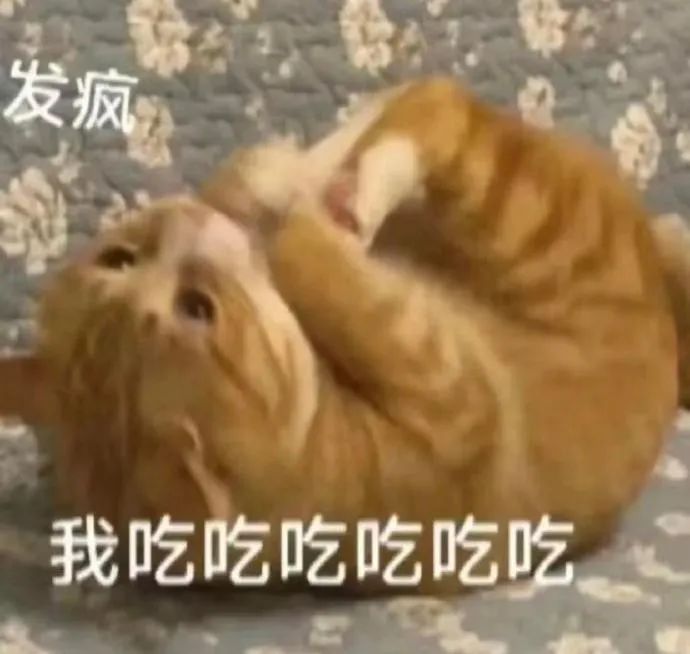 猫猫表情包