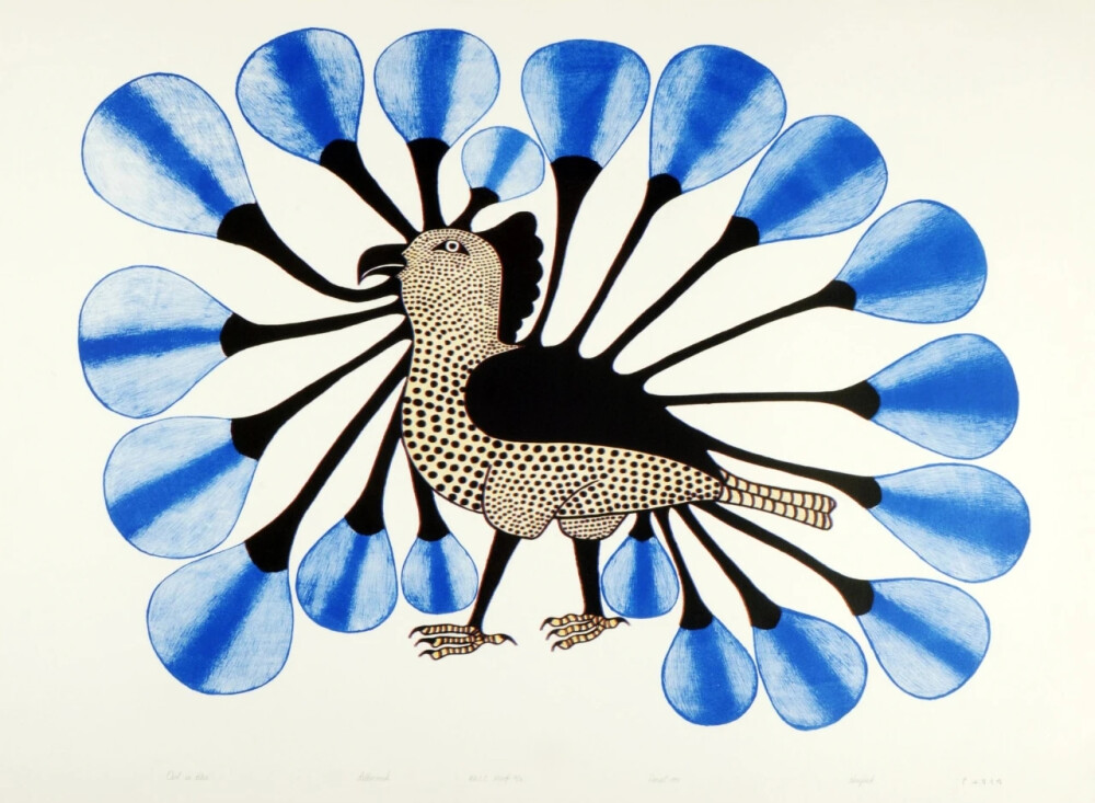 科努瓦克·阿什瓦克（Kenojuak Ashevak）是著名的加拿大因纽特艺术家，她创作了一些加拿大艺术中最具标志性和辨识度的图像。在从事雕塑工作时，阿什瓦克以其引人入胜的图形作品而闻名，包括素描和版画。这些作品涵盖了富有想象力和多样化的主题，其中最大的主题包括鸟类，尤其是活泼的猫头鹰。