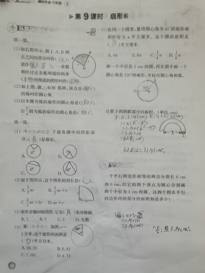 第8课时 解决问题
第9课时 扇形