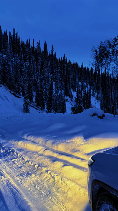 WINTER