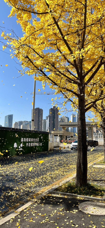 风景壁纸
