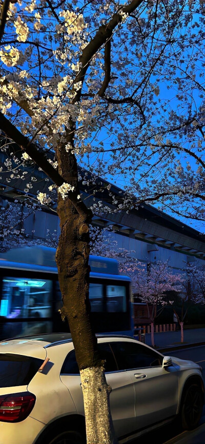 风景壁纸