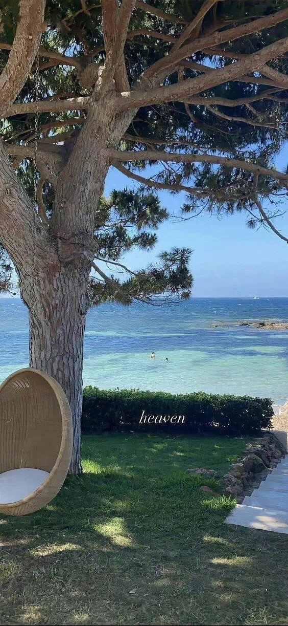 Ins