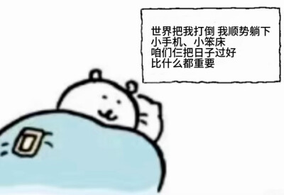 自嘲熊睡覺表情包