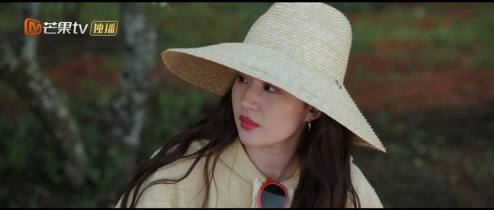 第二十集 刘亦菲
去有风的地方 许红豆