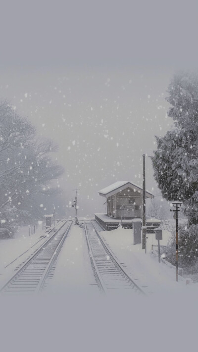 雪景