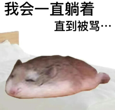 表情包