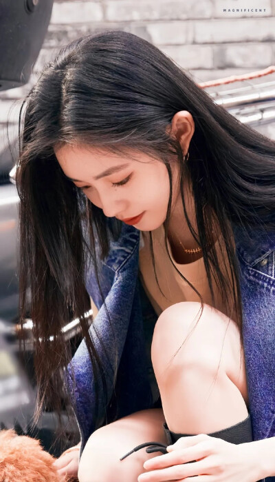明星