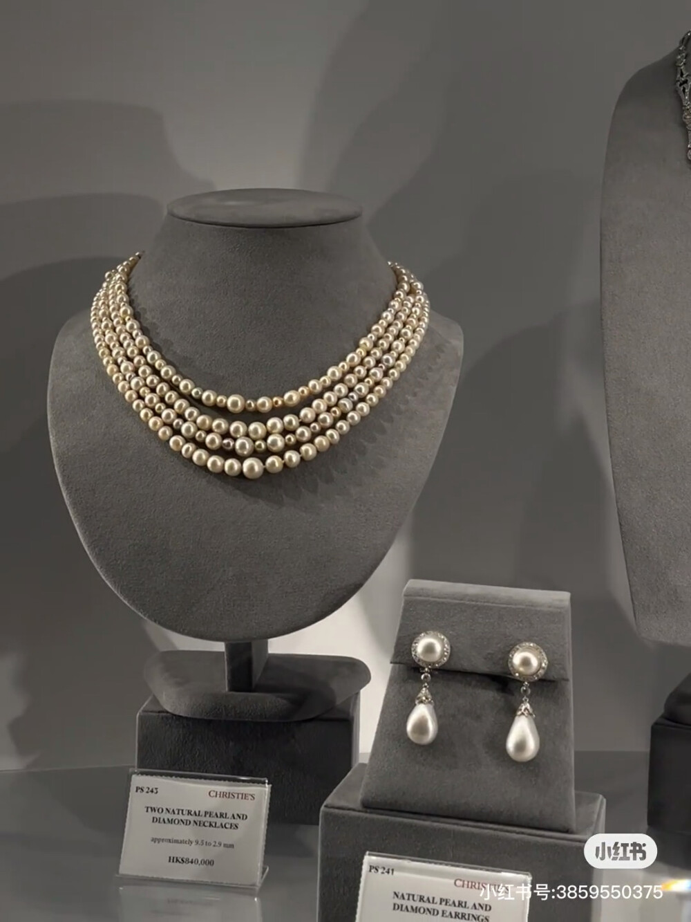 璀璨-小红书转载