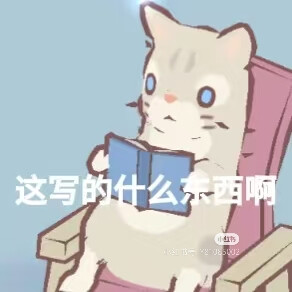 猫猫表情包