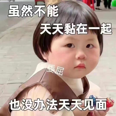 表情包。